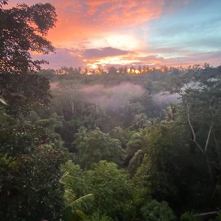 D'Tepi Ubud House 외부 사진