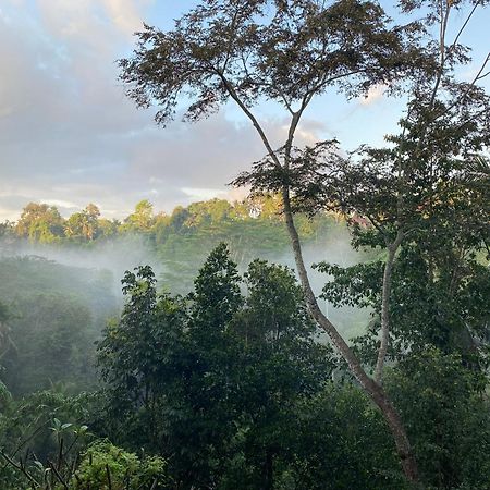 D'Tepi Ubud House 외부 사진