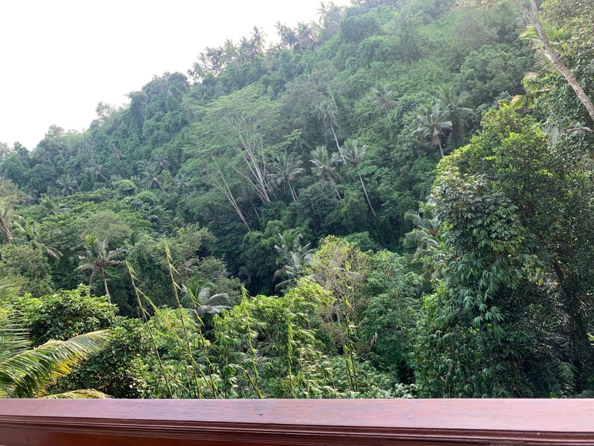 D'Tepi Ubud House 외부 사진