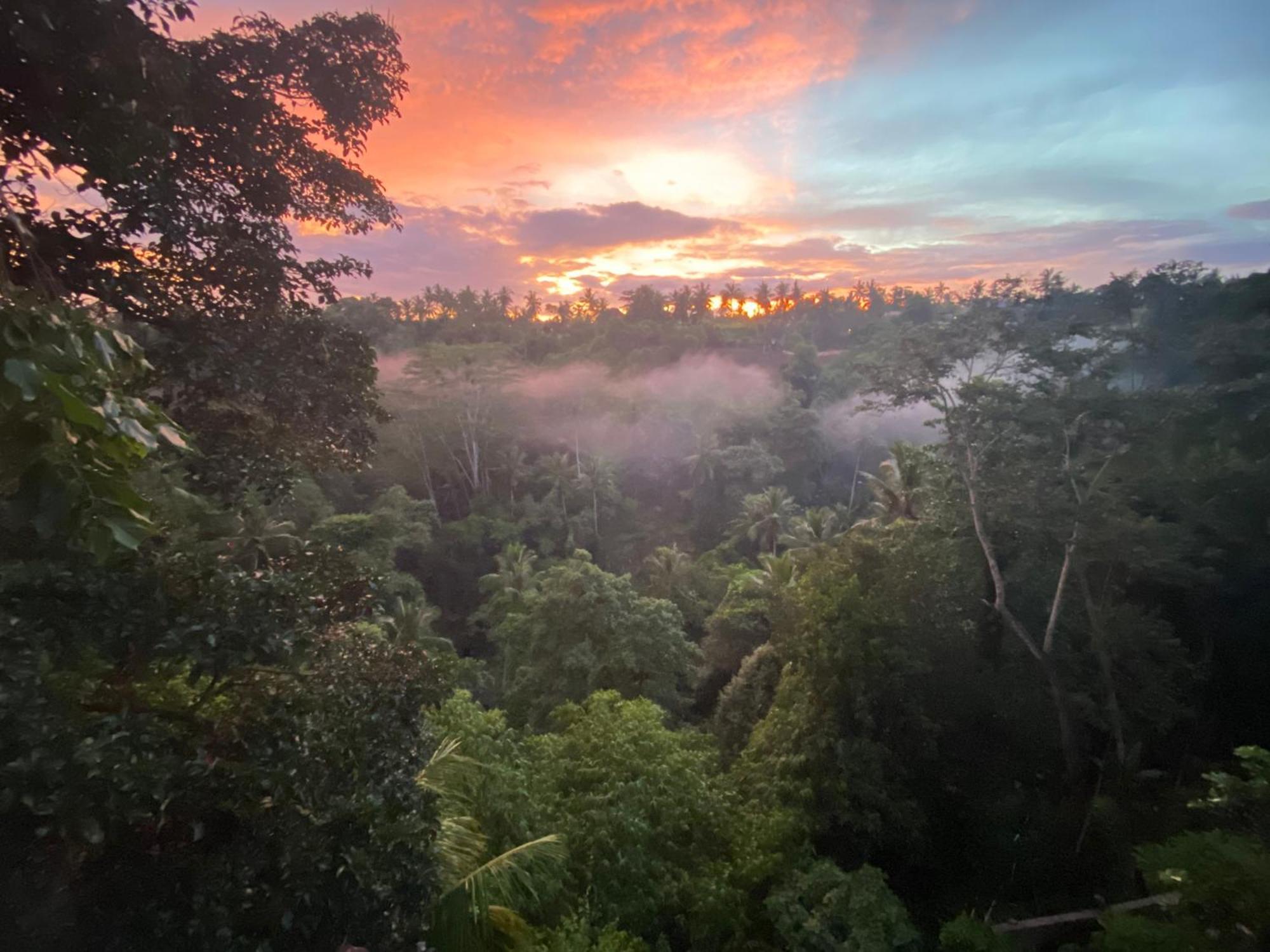 D'Tepi Ubud House 외부 사진